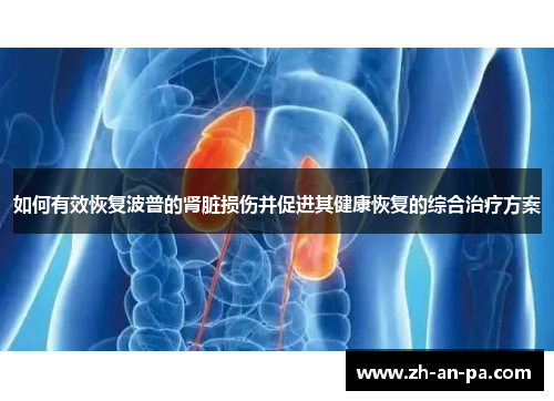 如何有效恢复波普的肾脏损伤并促进其健康恢复的综合治疗方案