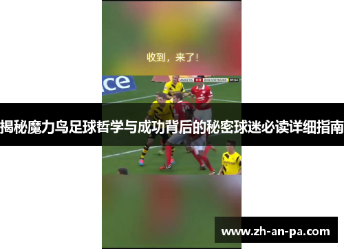揭秘魔力鸟足球哲学与成功背后的秘密球迷必读详细指南