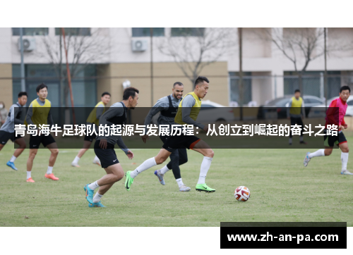 青岛海牛足球队的起源与发展历程：从创立到崛起的奋斗之路